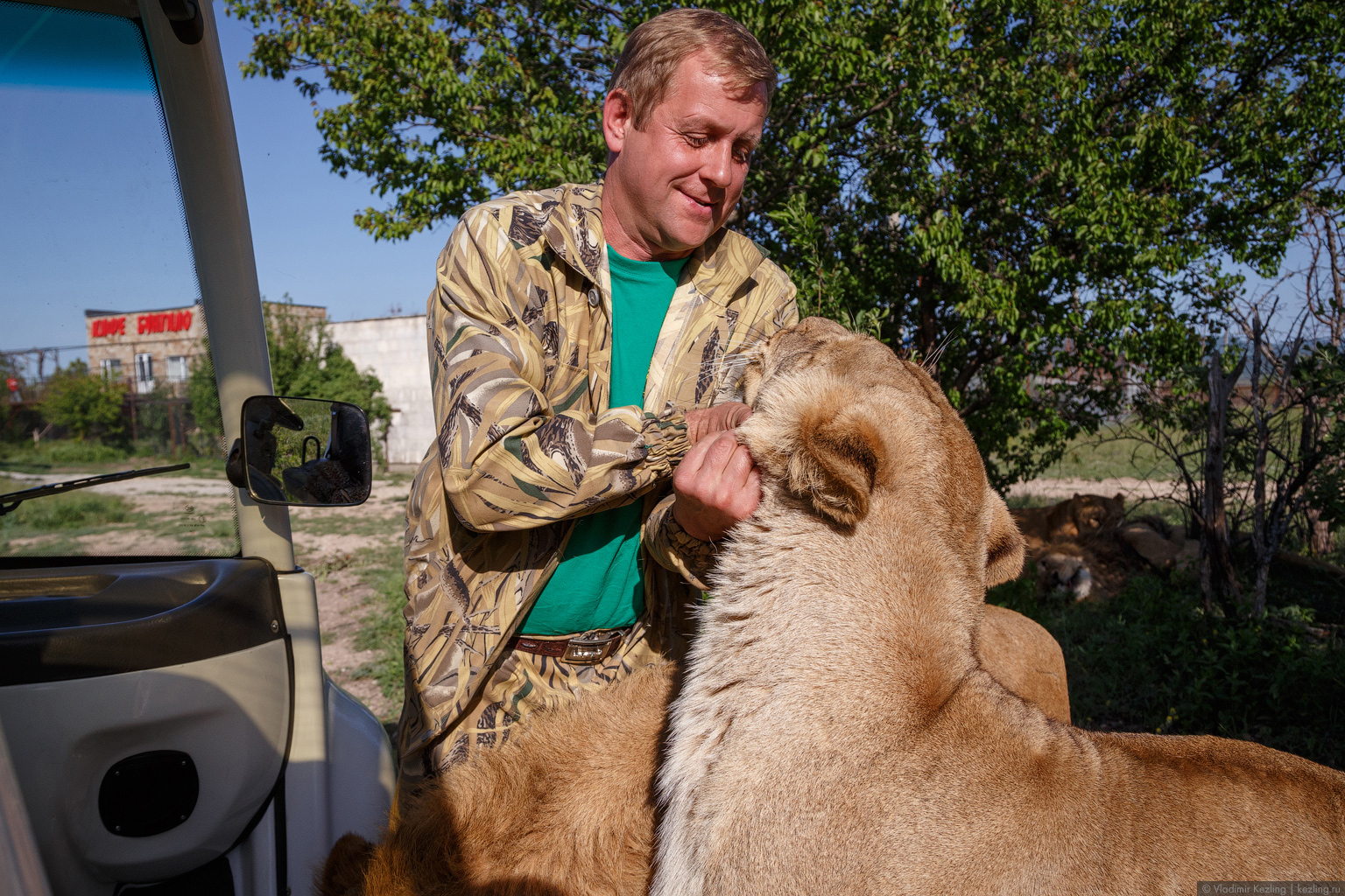 Парк львов «Тайган» — самое захватывающее место Крыма